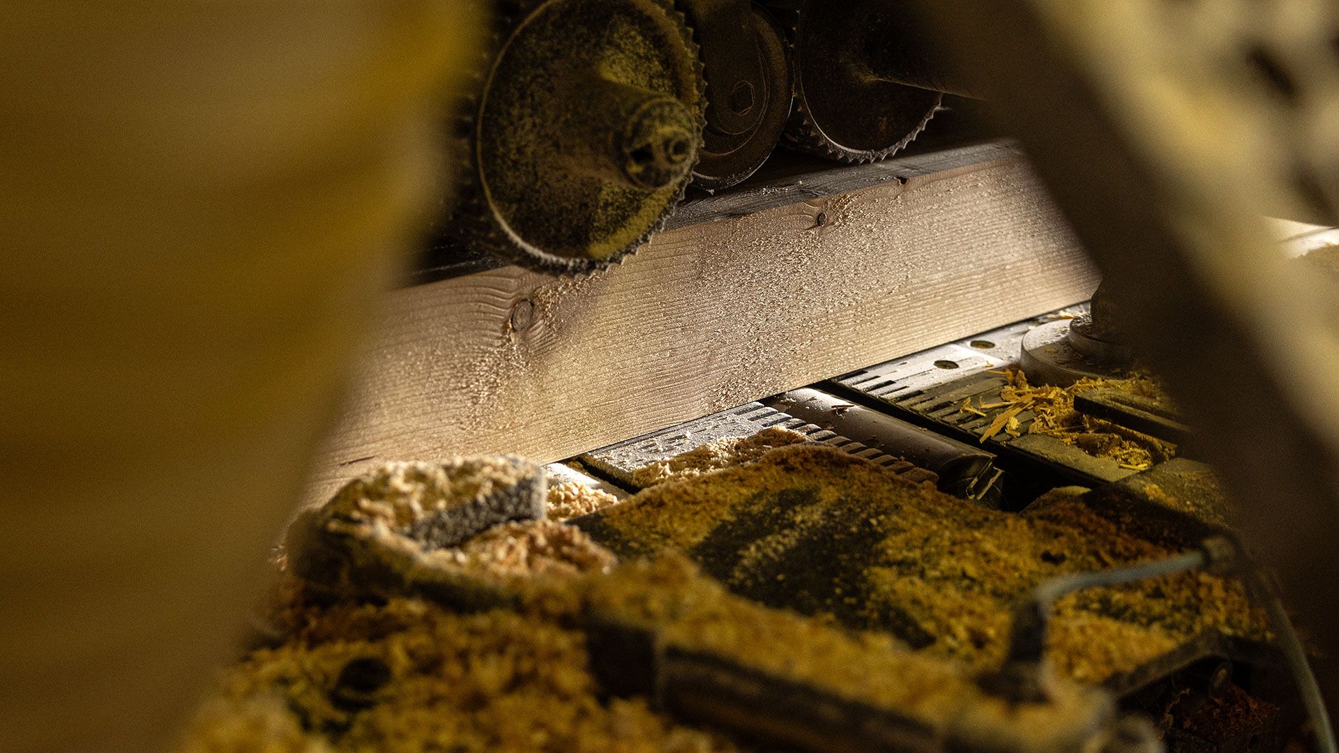 Piallatura legno - tetti in legno Gruppo Nulli